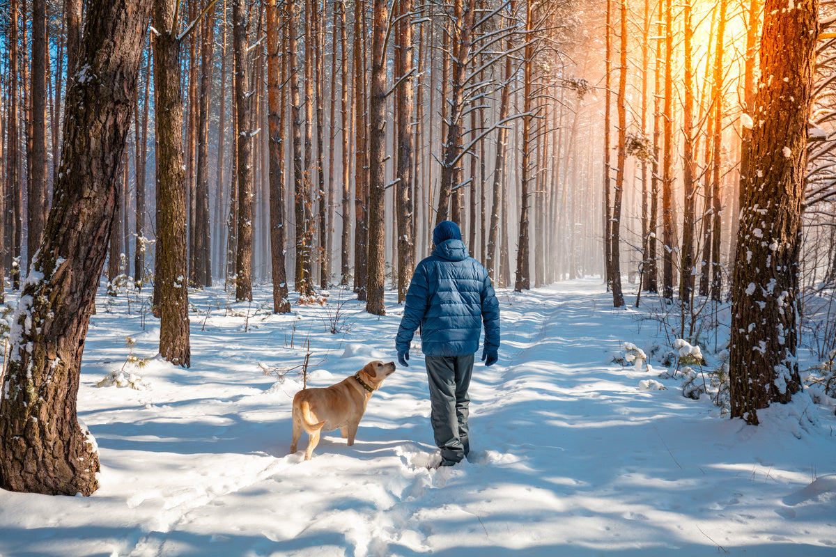 Wearing Thermals to Walk Your Dog