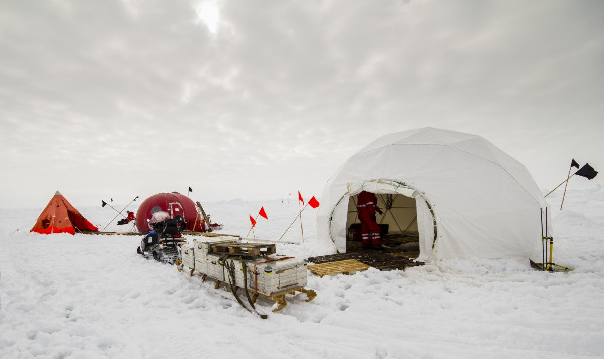 Biologist: Keeping Warm in the Arctic Ecosystem